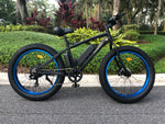 "PVB" Fat Tire Mountain Bike!  In Stock!