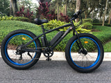"PVB" Fat Tire Mountain Bike!  In Stock!
